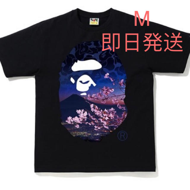 SAKURA PHOTO APE HEAD TEE