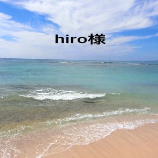 hiro様専用(リング)