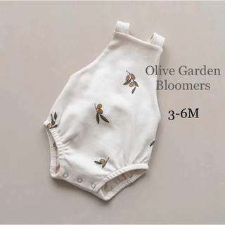 キャラメルベビー&チャイルド(Caramel baby&child )のorganic zoo / Olive Garden Bloomers(ロンパース)
