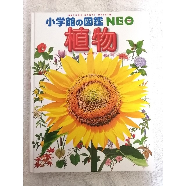 小学館(ショウガクカン)の美品 小学館の図鑑 NEO「植物」 エンタメ/ホビーの本(絵本/児童書)の商品写真