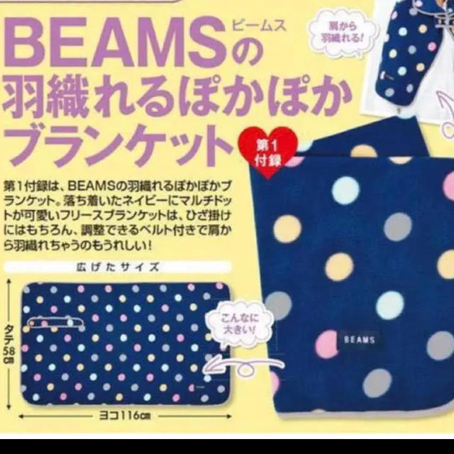 BEAMS(ビームス)のBEAMS(ビームス)羽織れるぽかぽかブランケット インテリア/住まい/日用品の日用品/生活雑貨/旅行(その他)の商品写真