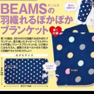 ビームス(BEAMS)のBEAMS(ビームス)羽織れるぽかぽかブランケット(その他)