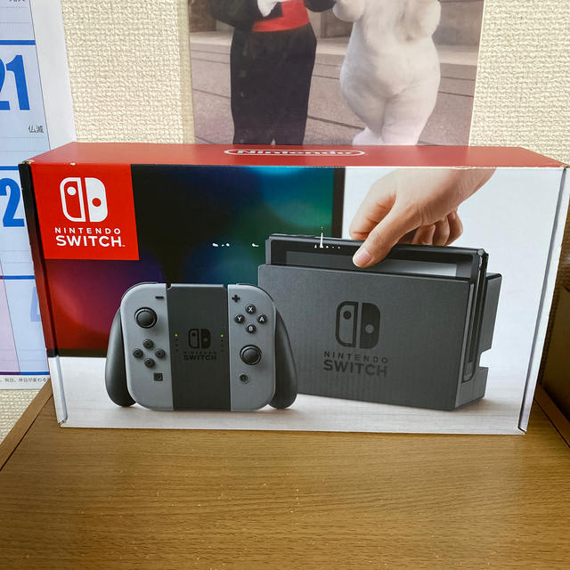 Nintendo Switch JOY-CON グレー 本体  HAC-S-KA