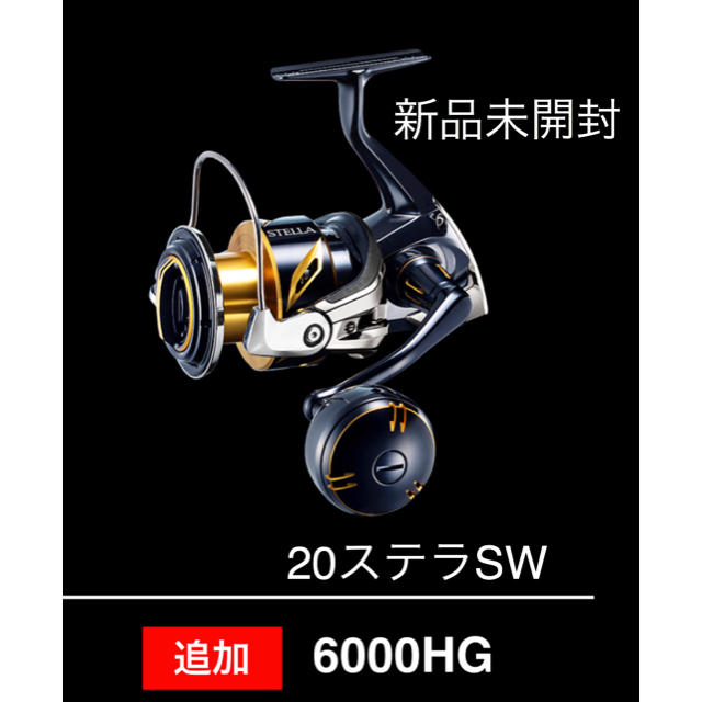 【新品・未開封品】シマノ 20ステラSW 6000HG