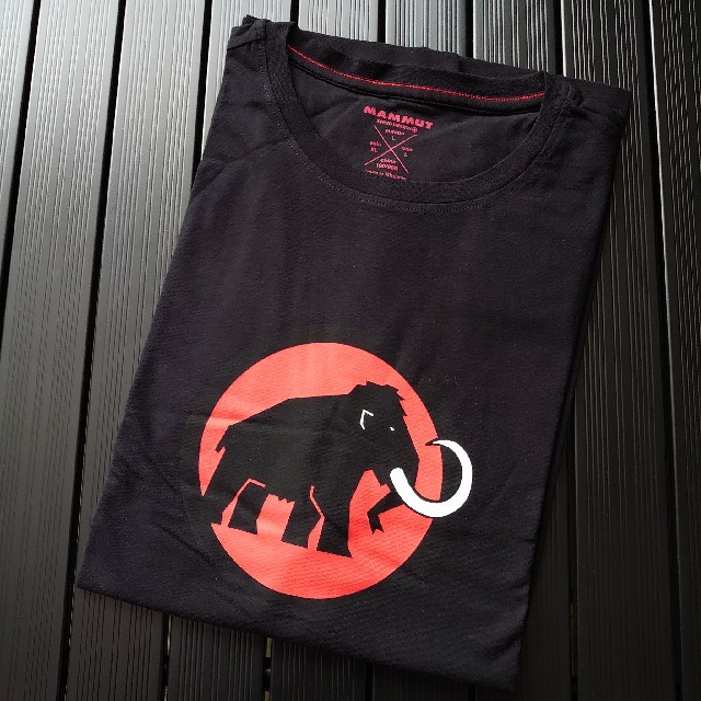 Mammut(マムート)の【新品】 ロゴTシャツ 【MAMMUT】 メンズのトップス(Tシャツ/カットソー(半袖/袖なし))の商品写真