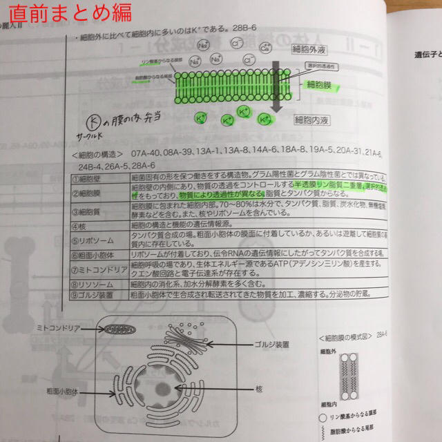 【歯科衛生士】【国試】国試の麗人【まとめ売り】 エンタメ/ホビーの本(語学/参考書)の商品写真