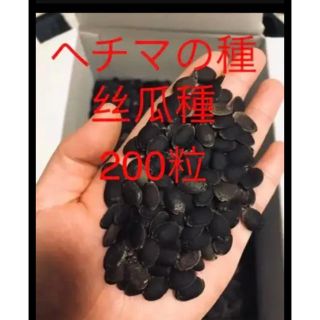 ヘチマの種丝瓜200粒(野菜)