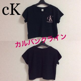 カルバンクライン(Calvin Klein)のCK カルバンクライン Tシャツ(Tシャツ(半袖/袖なし))