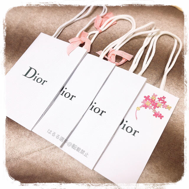 Dior(ディオール)の【Dior】ショップ袋 4枚セット𓅯⠜ レディースのバッグ(ショップ袋)の商品写真