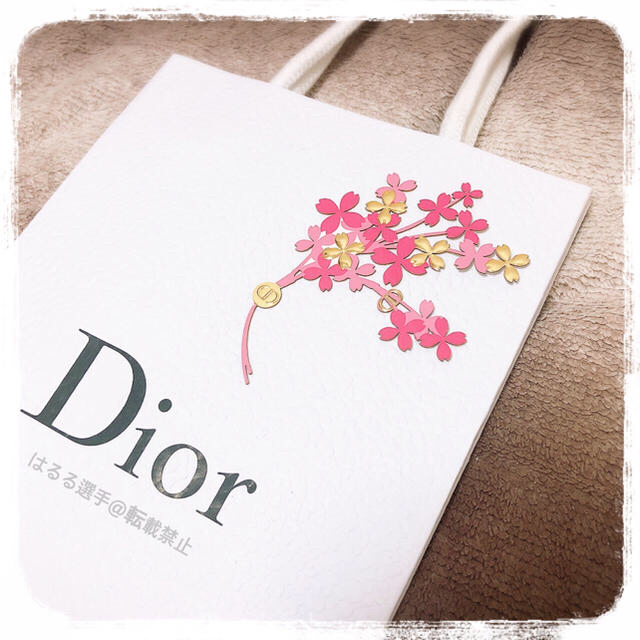 Dior(ディオール)の【Dior】ショップ袋 4枚セット𓅯⠜ レディースのバッグ(ショップ袋)の商品写真