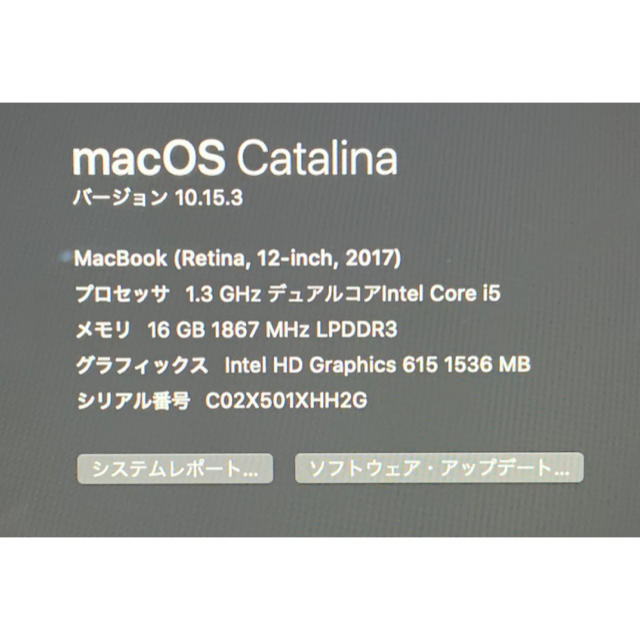 2017/MacBook 12インチ/i5/16GB/256GB/US