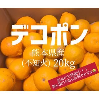 熊本県産 不知火 デコポン(フルーツ)