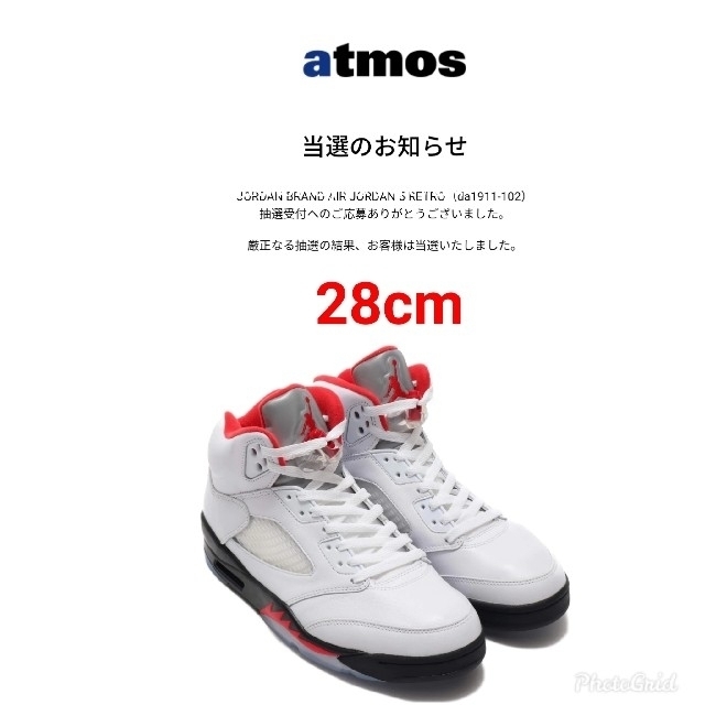 Air Jordan 5 (28cm)