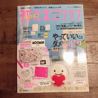 ◼️初めてのたまごクラブ　ハンディサイズ◼️妊娠、妊婦、マタニティ (住まい/暮らし/子育て)