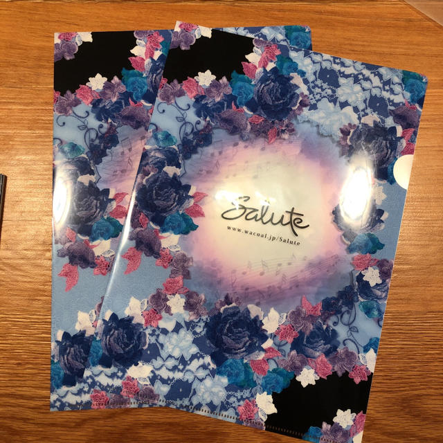 Wacoal(ワコール)のサルート Salute クリアファイル 02 ブルー エンタメ/ホビーのアニメグッズ(クリアファイル)の商品写真