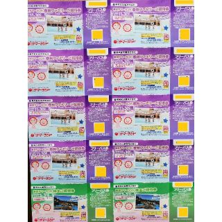 【専用品】東京サマーランド 株主優待券(遊園地/テーマパーク)