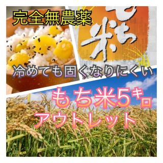 食卓の杜 神田農園's shop|フリマアプリ ラクマ 食卓の杜 神田農園's shop|フリマアプリ ラクマ
