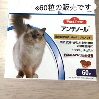 アンチノール　猫用　60粒(猫)