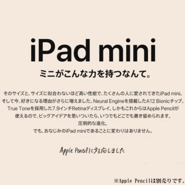 AppleiPad mini 7.9インチ 2019春 シルバー  64GB