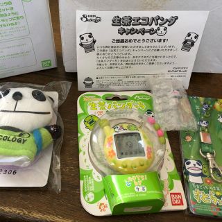 生茶パンダッち　生茶エコパンダキャンペーン　当選品