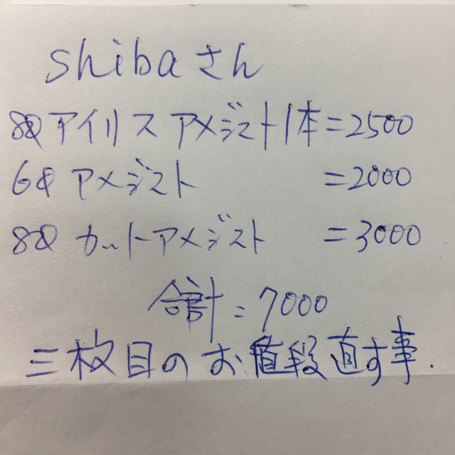 shiba_さん