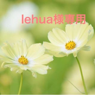lehua様専用(カラージェル)