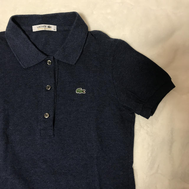 LACOSTE(ラコステ)のラコステ　ポロシャツ レディースのトップス(シャツ/ブラウス(半袖/袖なし))の商品写真