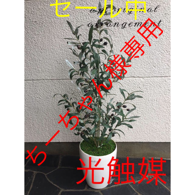 光触媒 人工観葉植物 オリーブ10146