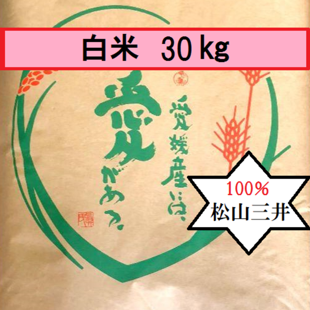 お米　令和元年　愛媛県産松山三井　白米　30㎏ 食品/飲料/酒の食品(米/穀物)の商品写真