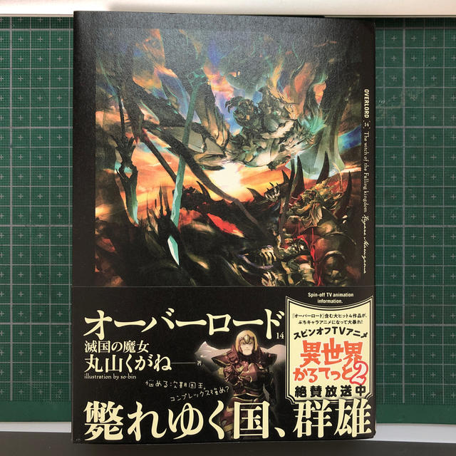 【最新刊！】オーバーロード １４ エンタメ/ホビーの本(文学/小説)の商品写真