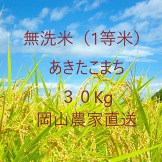 【無洗米】あきたこまち　30kg(米/穀物)