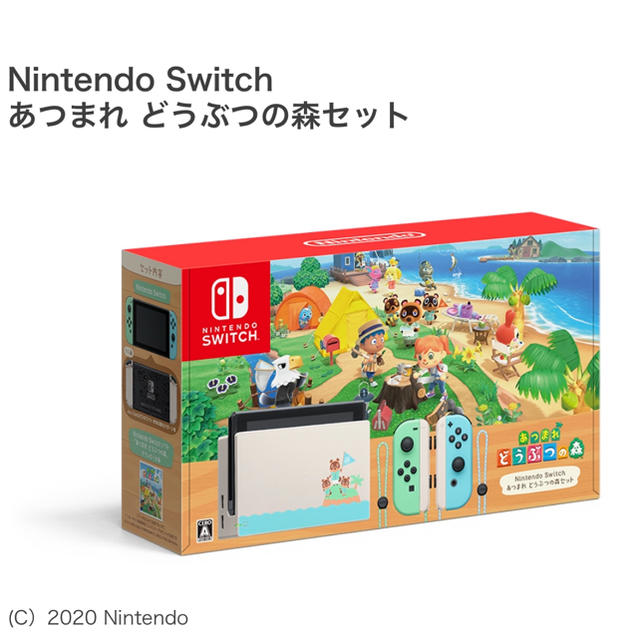 Nintendo Switch - ニンテンドースイッチ あつまれどうぶつの森セット