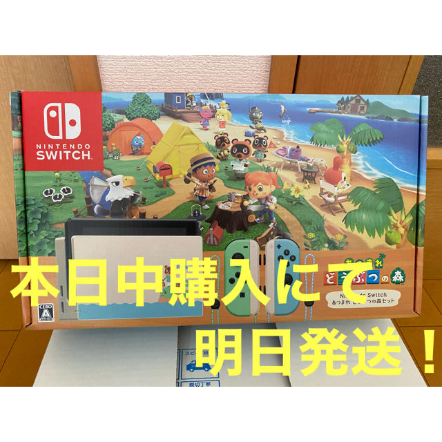 Nintendo Switch あつまれどうぶつの森同梱版