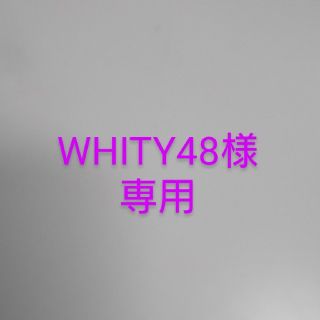 WHIWY48様専用(特撮)