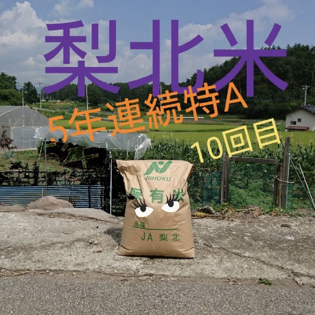 令和元年度産 5kg 1等米 梨北米 減農薬　農家直送 食品/飲料/酒の食品(米/穀物)の商品写真