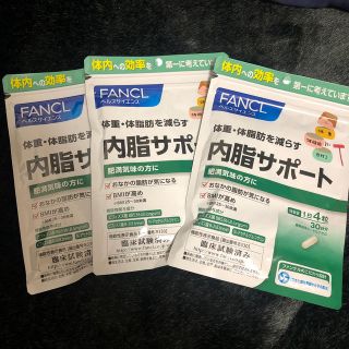 ファンケル(FANCL)の内脂サポート120粒　3袋セット(その他)