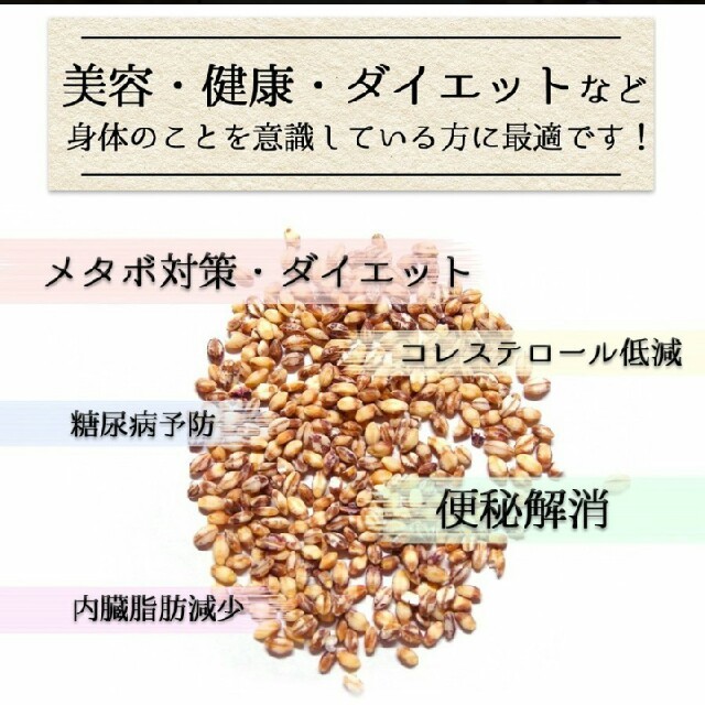 ダイシモチ 食品/飲料/酒の食品(米/穀物)の商品写真