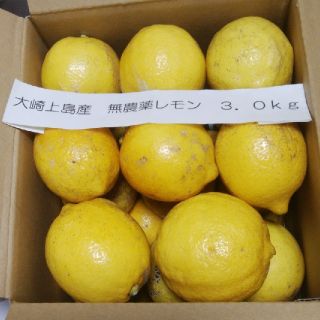 広島県大崎上島産無農薬レモン3.0kg(フルーツ)