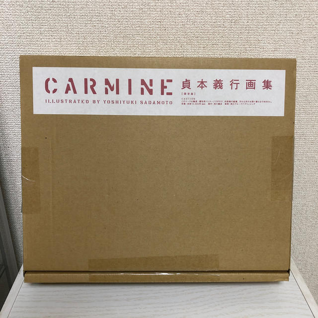 角川書店(カドカワショテン)の貞本義行画集　ＣＡＲＭＩＮＥ　限定版 エンタメ/ホビーの本(アート/エンタメ)の商品写真