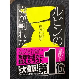 カドカワショテン(角川書店)のルビンの壺が割れた(文学/小説)