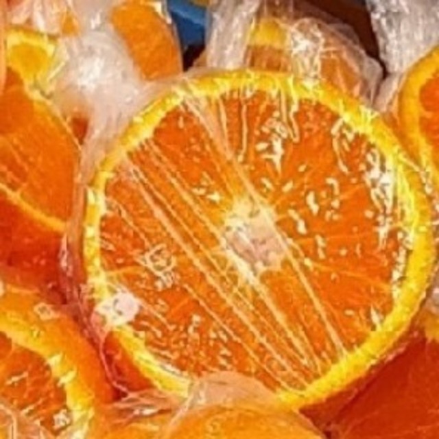 在庫処分《11㎏程!!》和歌山の清見オレンジ 食品/飲料/酒の食品(フルーツ)の商品写真
