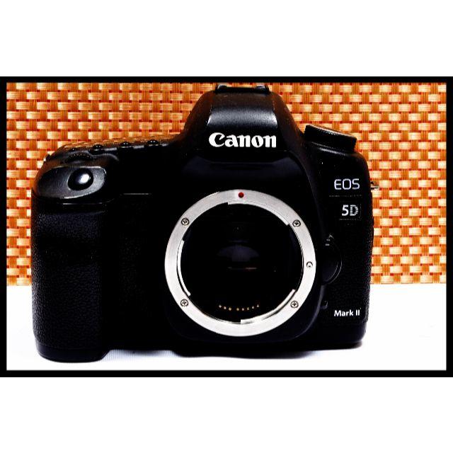 お買い得得価 Canon EOS 5D Mark Ⅱ 純正トリプルレンズ★おまけ★の通販 by Sunlight|キヤノンならラクマ - ★極上美品★Canon 新作即納