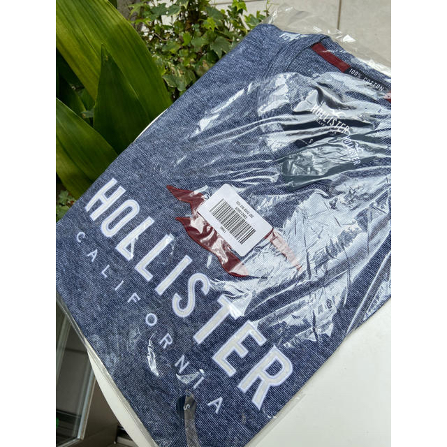 Hollister(ホリスター)の新品⭐︎ホリスター　ロゴグラフィックTシャツ メンズのトップス(Tシャツ/カットソー(半袖/袖なし))の商品写真