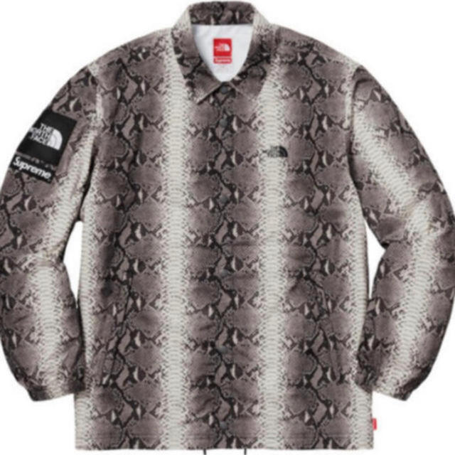 2018 supreme the north face snake Lメンズ