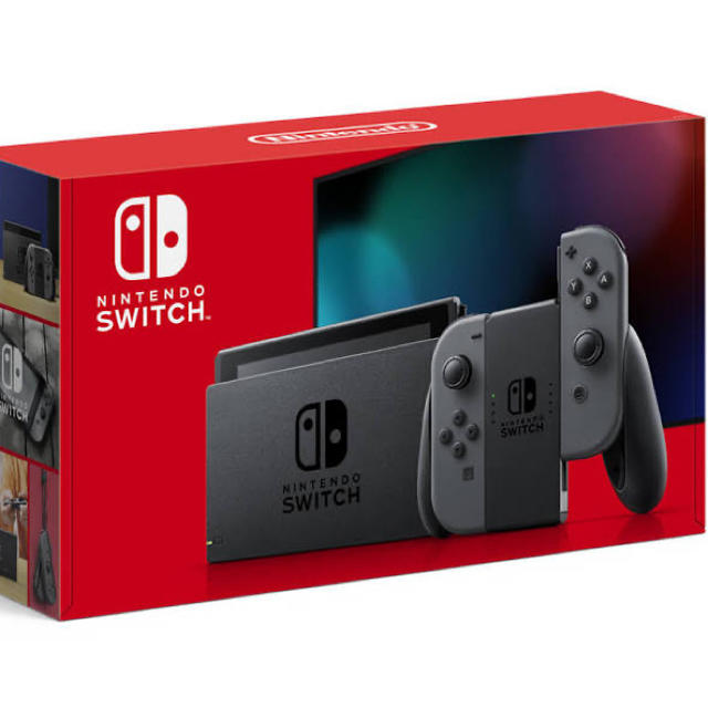 任天堂 スイッチ Switch 本体 グレー ケース付き ポケモン剣ソード付き