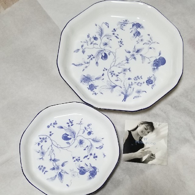 wedgwoodｽﾄﾛﾍﾞﾘｰﾌﾞﾙｰ　ｵｸﾀｺﾞﾅﾙﾃﾞｨｯｼｭ2ｾｯﾄ