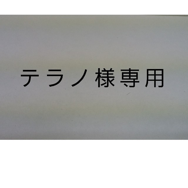 テラノ様専用 ハンドメイドのフラワー/ガーデン(その他)の商品写真