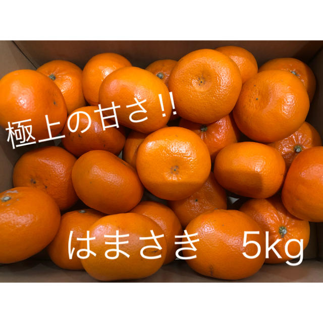 佐賀県産　はまさき　5kg 食品/飲料/酒の食品(フルーツ)の商品写真
