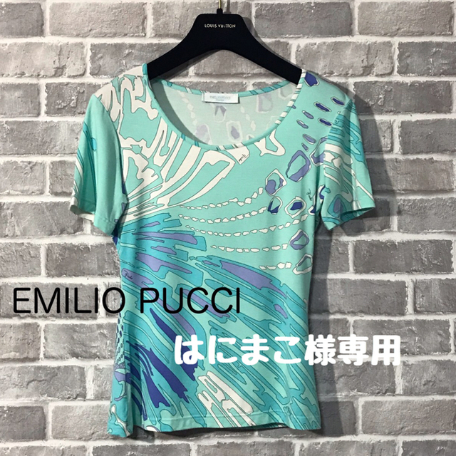 EMILIO PUCCI(エミリオプッチ)のEMILIO PUCCI カットソー レディースのトップス(Tシャツ(半袖/袖なし))の商品写真