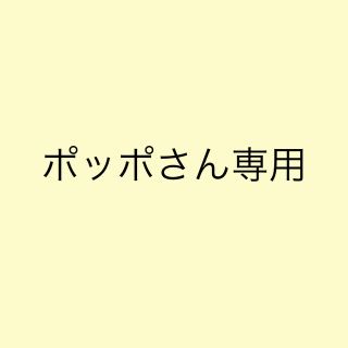 ポッポさん専用　ハーバリウムボールペン(プリザーブドフラワー)